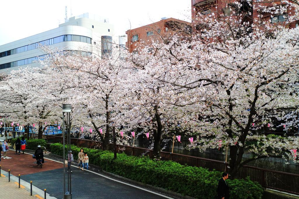 Apartamento Coto Tokyo Shibuya Exterior foto